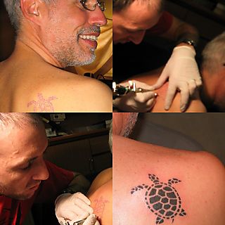  Turtle Tattoos on Sea Turtle Is Born In Alaska   Ocean Doctor   Ocean Conservation In