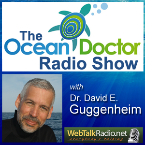 The Ocean Doctor Podcast