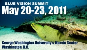 Blue Vision Summit 2011