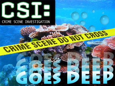 CSI Goes Deep