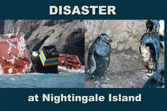 Disaster at Nightingale Island