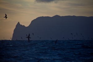 The oil spill from the wreck of the "Oliva" has now reached Inaccessible Island, a World Heritage Site and home to one of the world's most important concentrations of seabirds