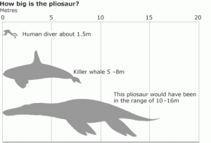 The Enormous Pliosaur (Image courtesy of BBC)