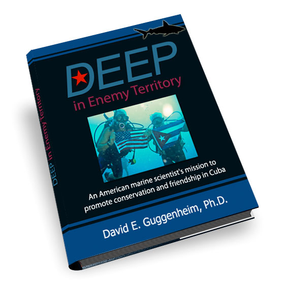 Deep in Enemy Territory - by David E. Guggenheim