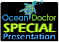 An Ocean Doctor Special Presentation