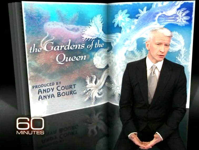 60 MINUTES' "Gardens of the Queen" Named as Finalist in BLUE Ocean Film Festival 2012