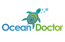 OceanDoctor_CafePress_Logo_273x179