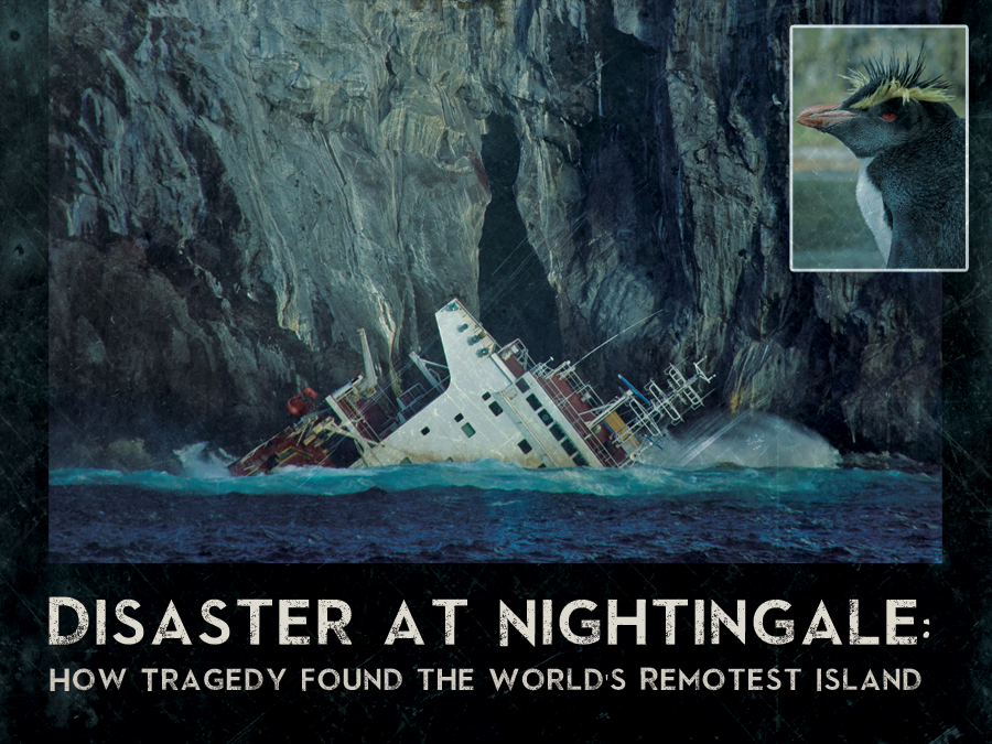 Disaster at Nightingale