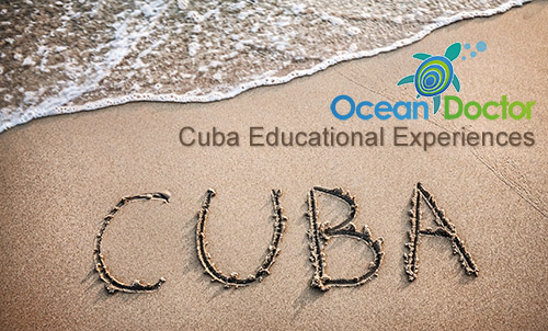 Cuba Educational Experiences - Ocean Doctor
