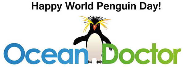World Penguin Day (April 25th)