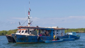 Cuban commercial fishing vessels