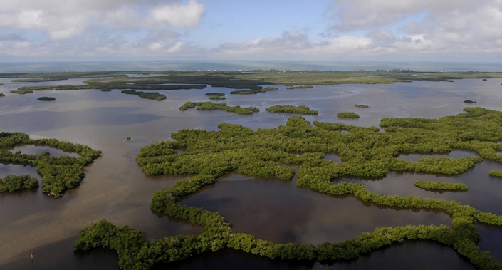Rookery Bay National Estuarine Research Reserve - Naples, Florida