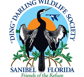 Ding Darling Wildlife Society