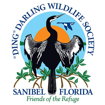 Ding Darling Wildlife Society