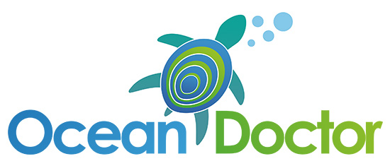 Ocean Doctor logo